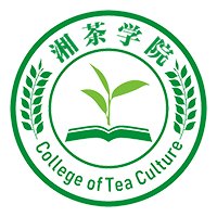 蘑菇tv网页版