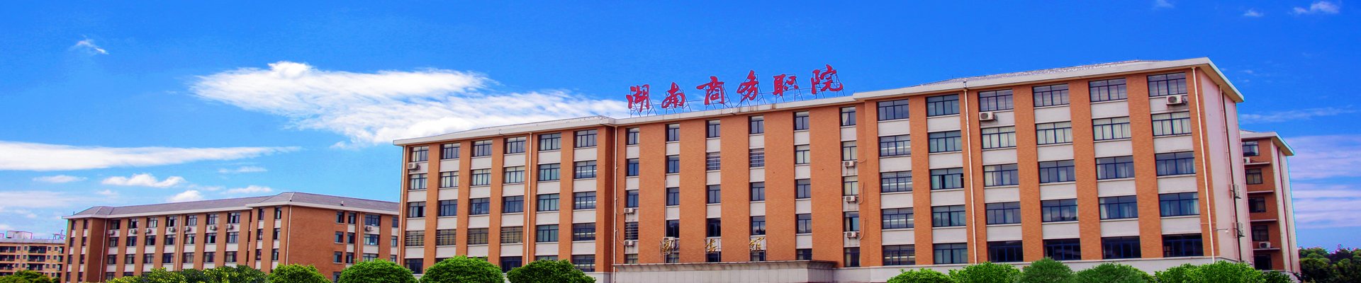 410205 | 党政办公室电话