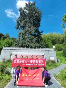 410205 | 党政办公室电话